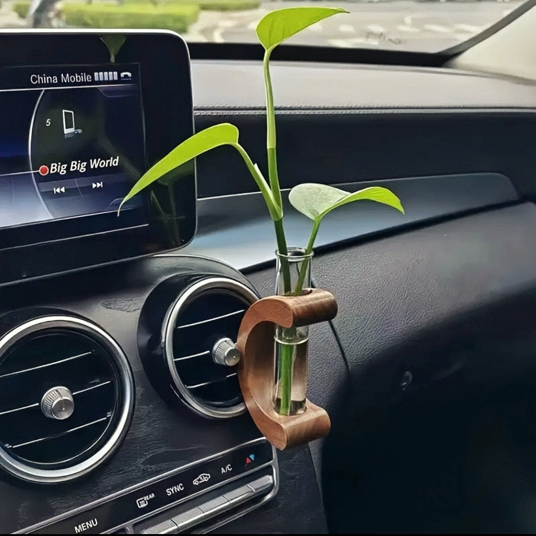 air plant in car Car Propagation Vase – Happyplanthome