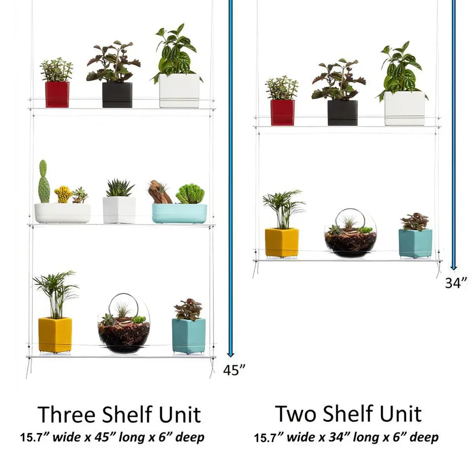 Clear Acrylic Window Plant Shelves