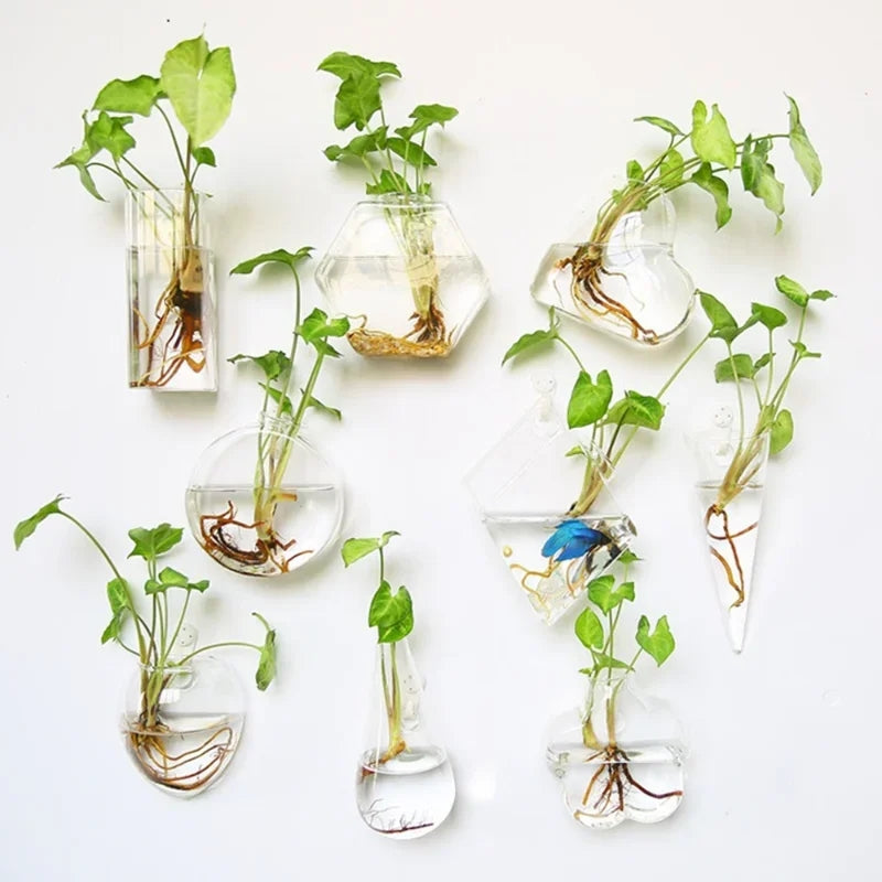 hydroponic hanging plants Wall Hanging Hydroponic Vases (set of 10) – Happyplanthome