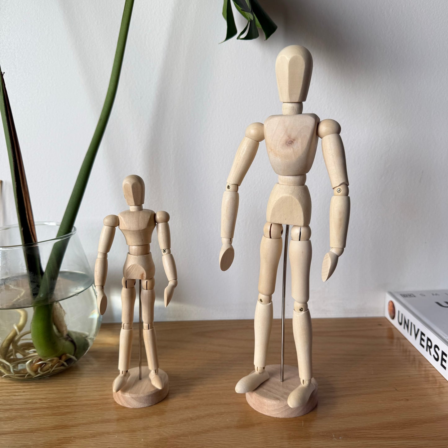 Air Plant Puppet Wooden Stands