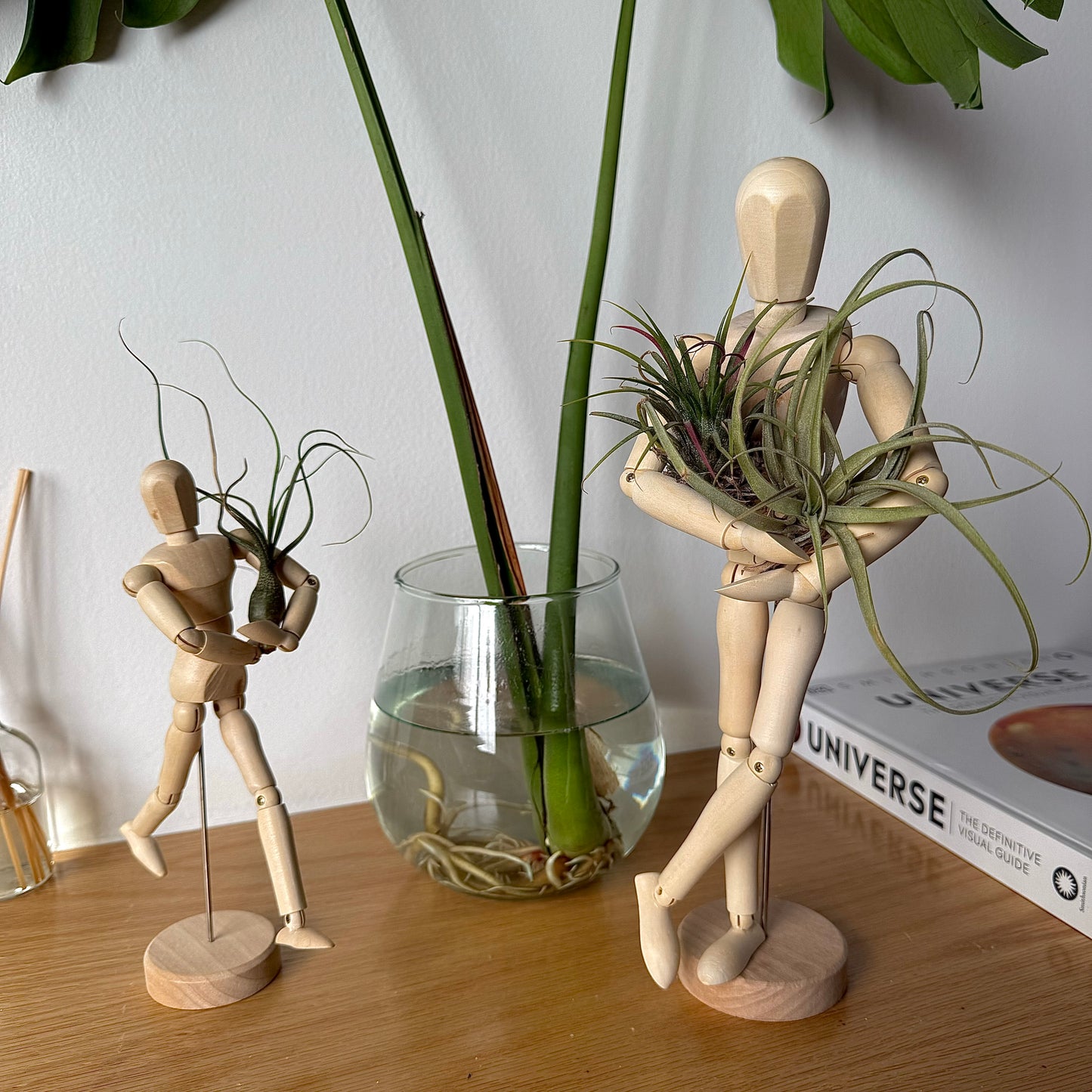 Air Plant Puppet Wooden Stands