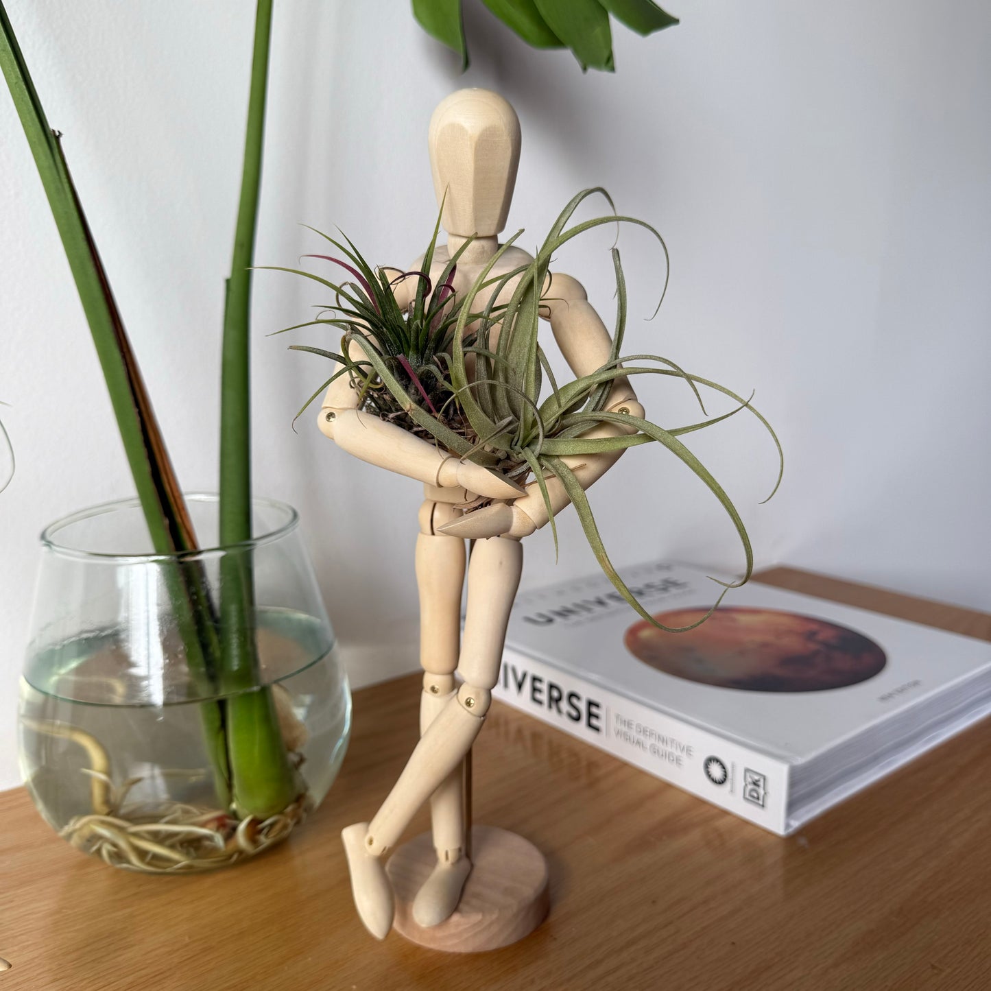 Air Plant Puppet Wooden Stands