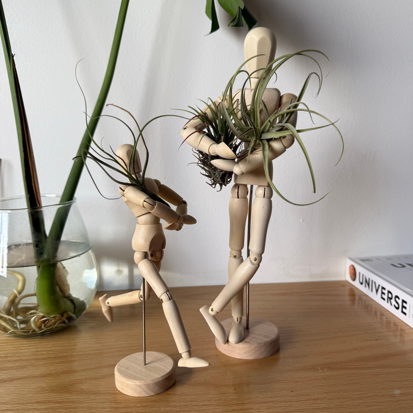 Air Plant Puppet Wooden Stands