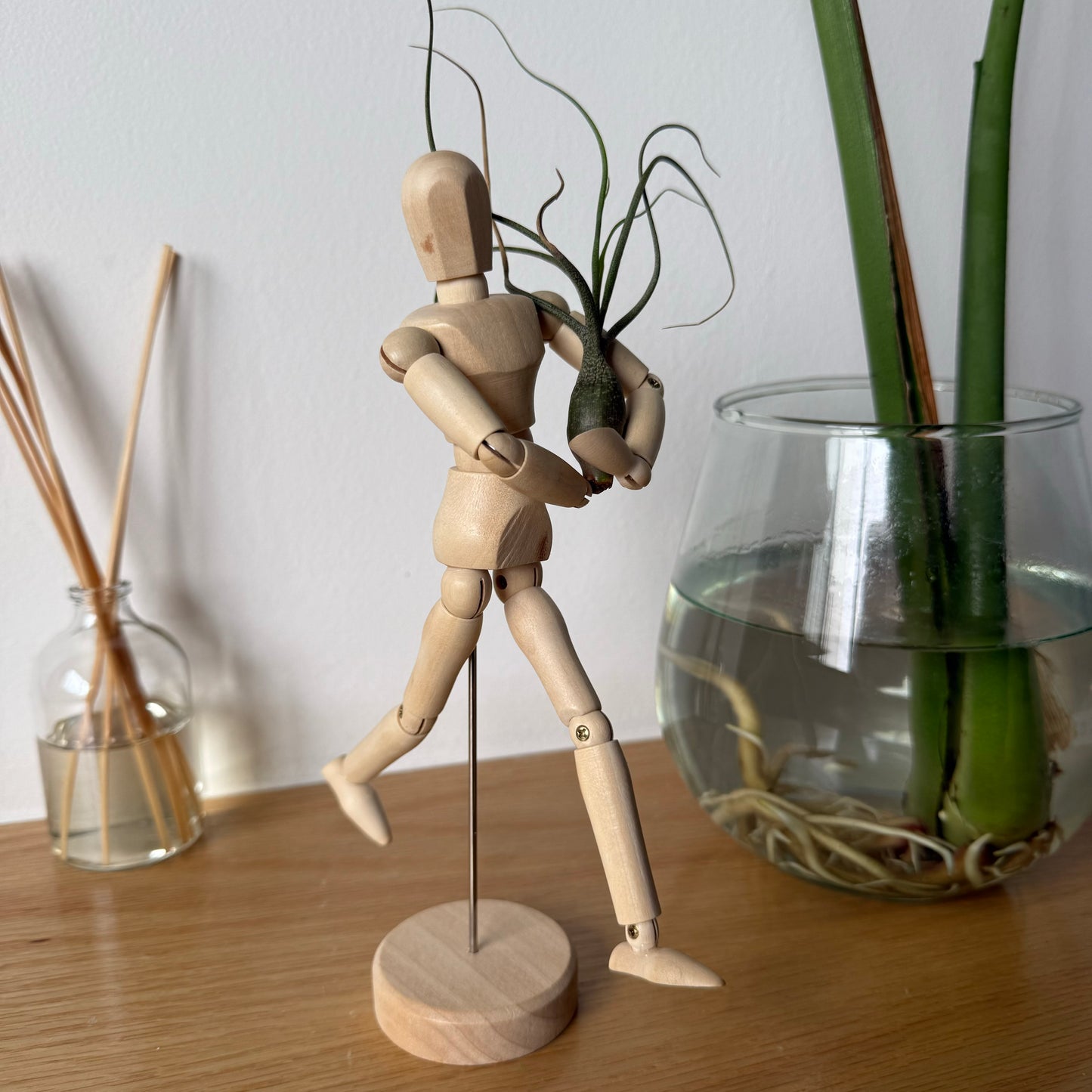 Air Plant Puppet Wooden Stands
