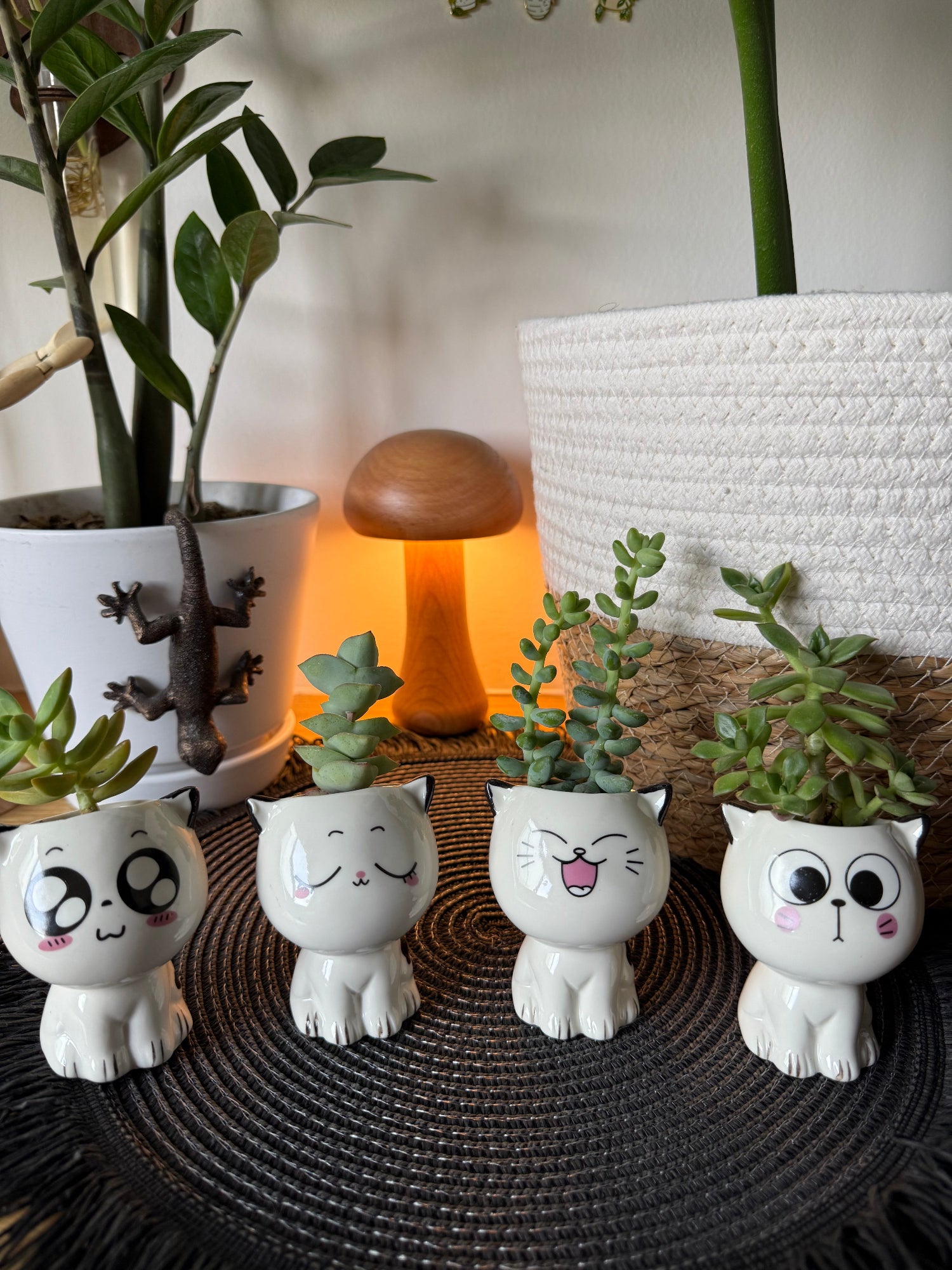 cat pots for plants Lil Kitten Squad Pots