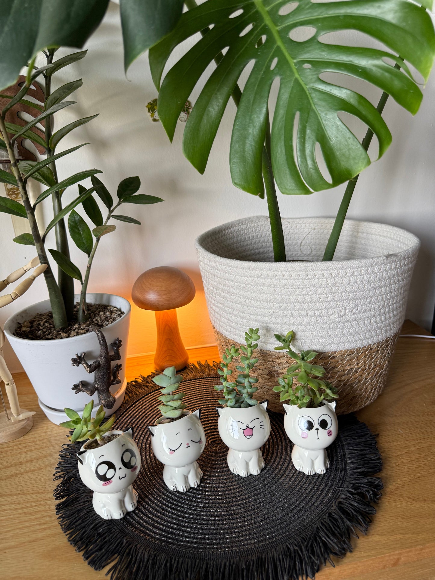 Lil Kitten Squad Pots