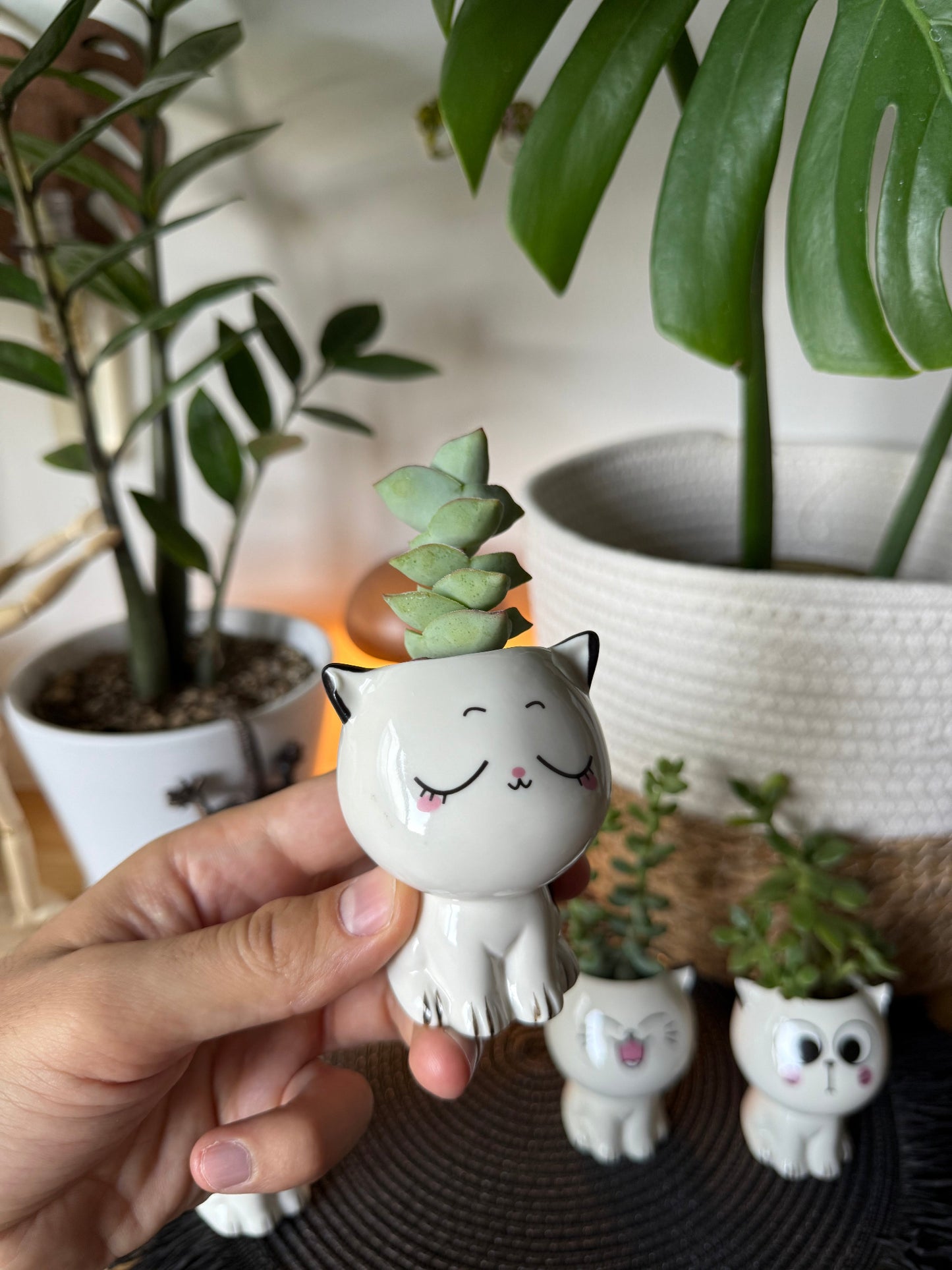 Lil Kitten Squad Pots