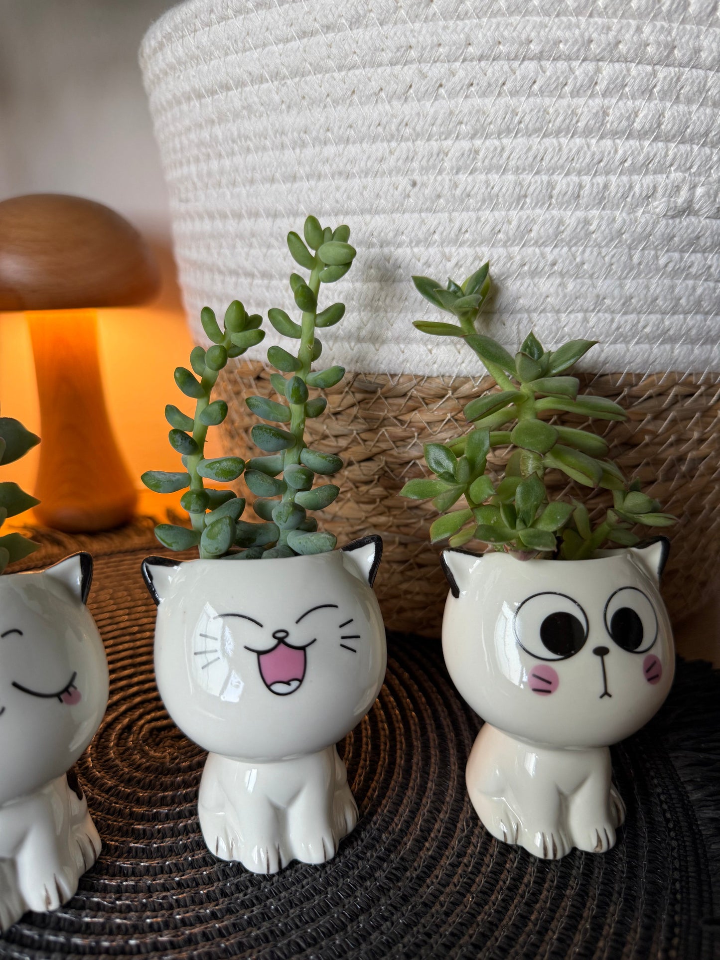 Lil Kitten Squad Pots