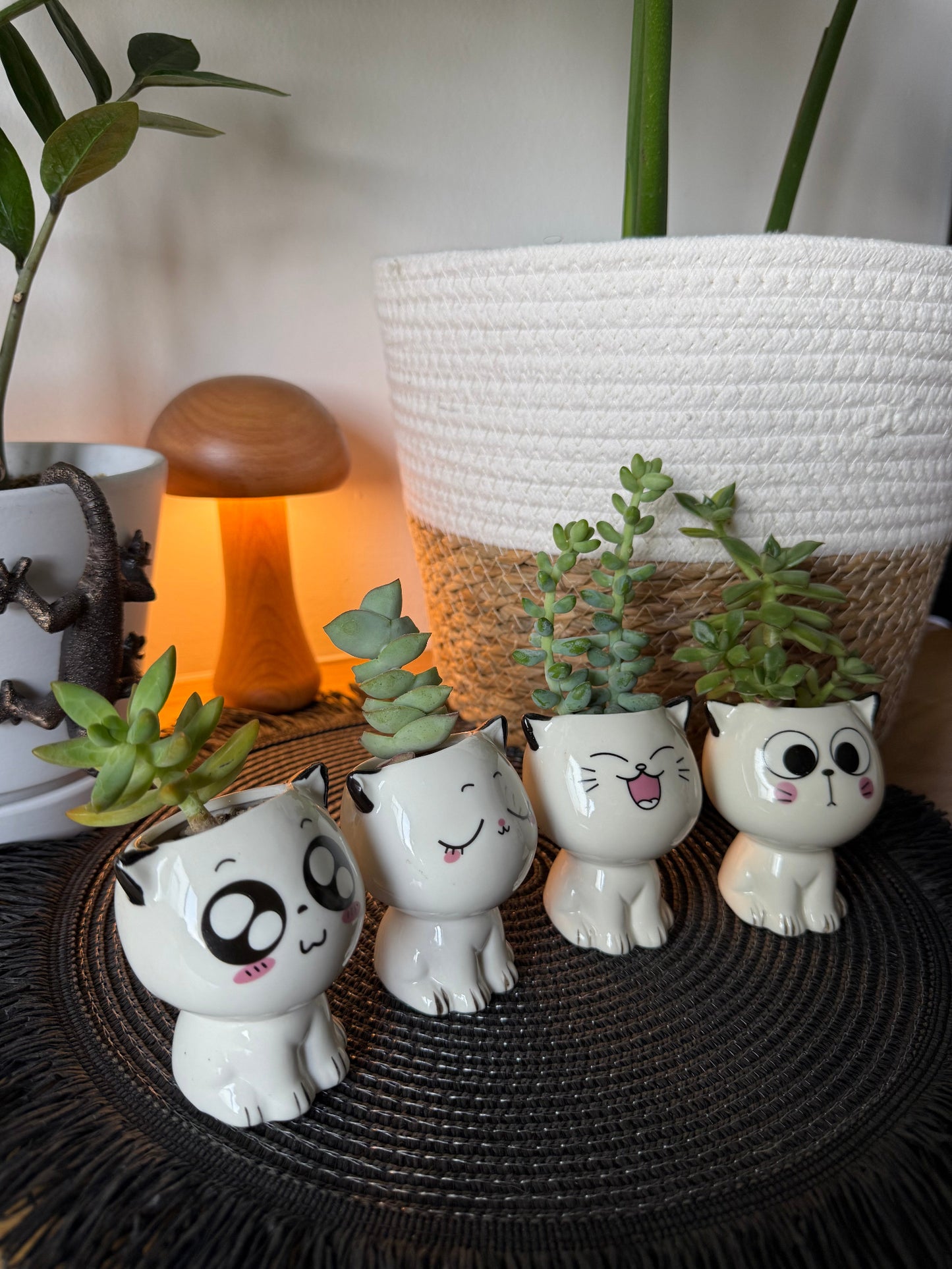 Lil Kitten Squad Pots