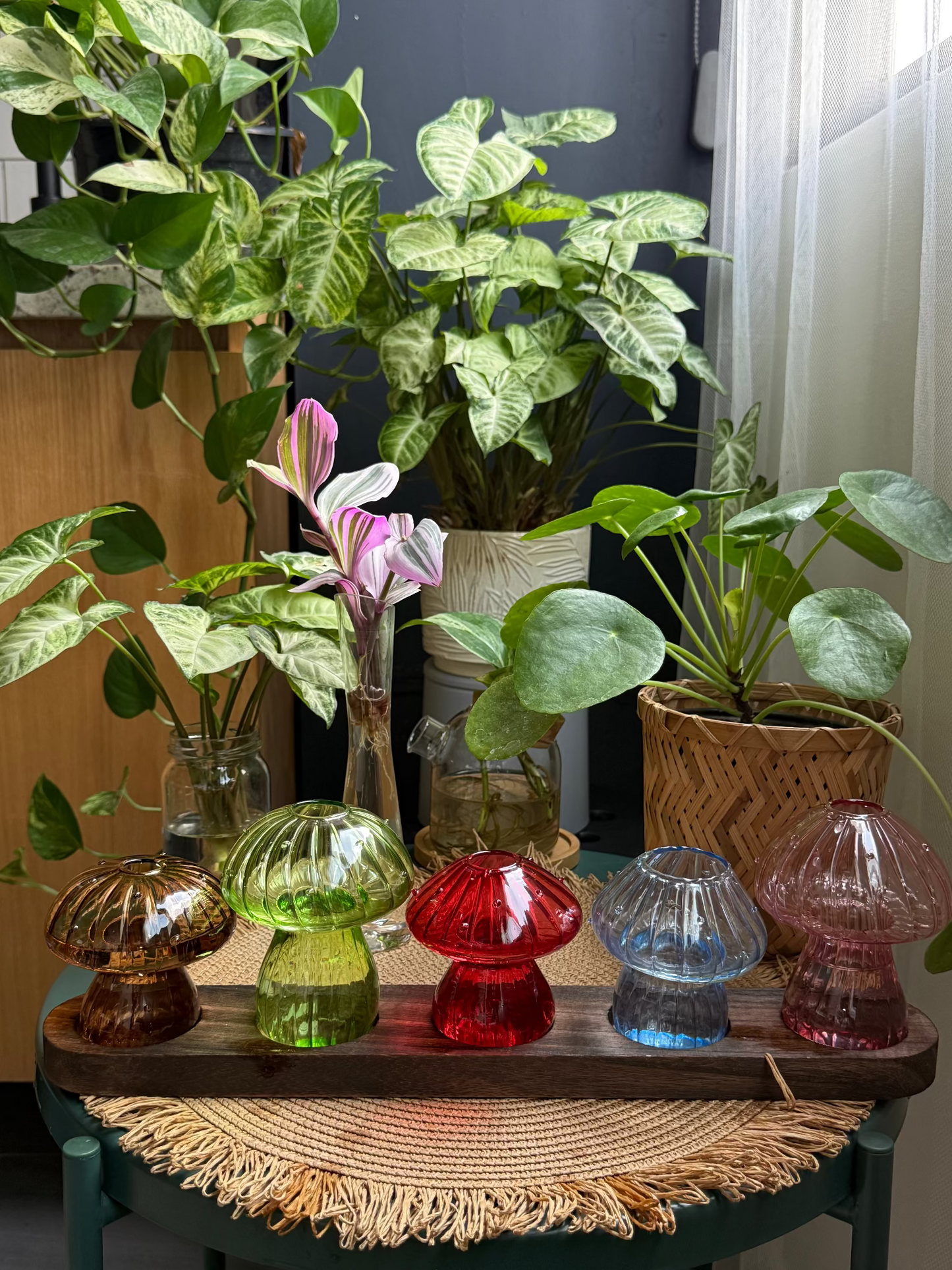 Mushroom Propagation Station š
