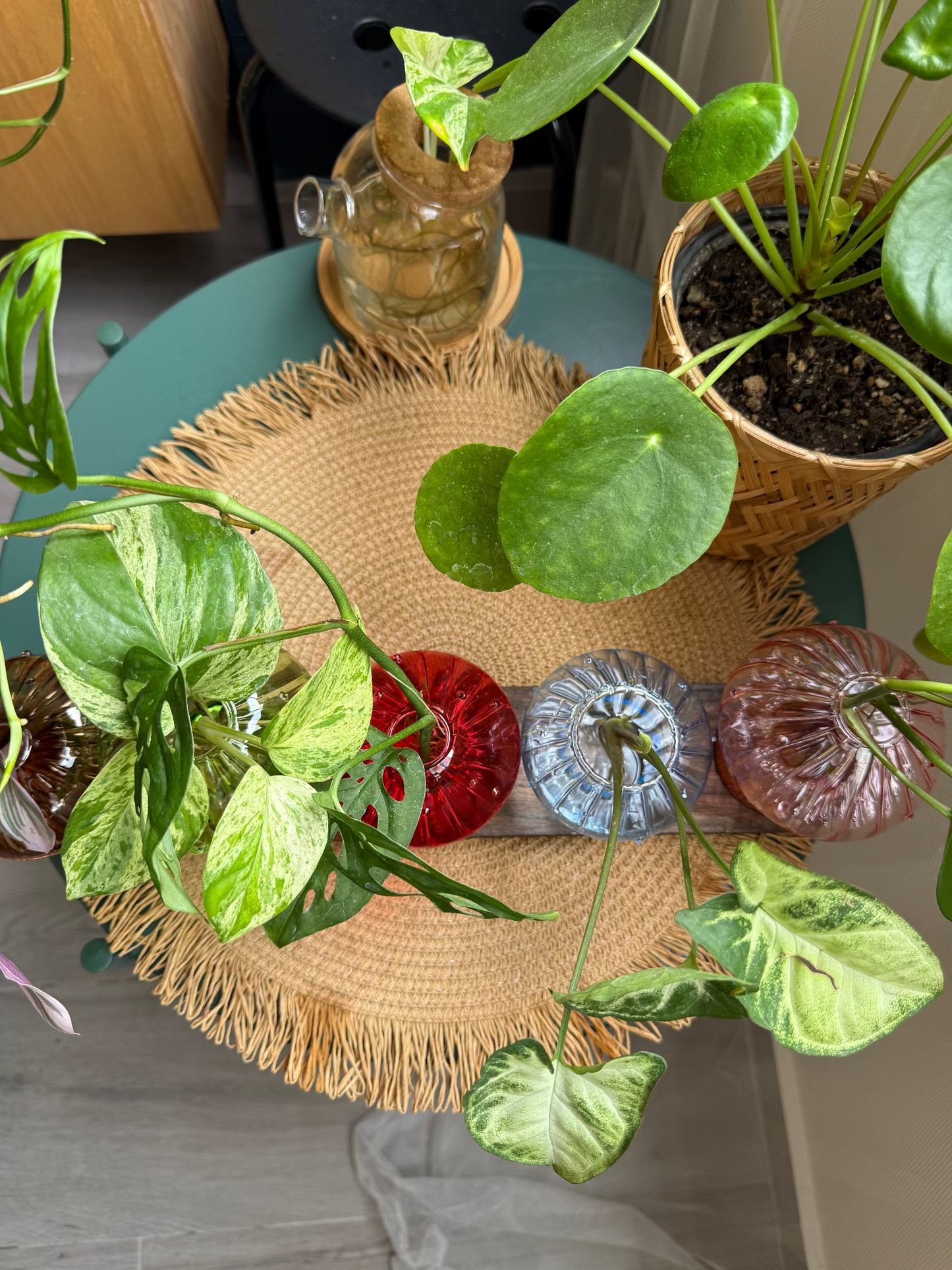 Mushroom Propagation Station š