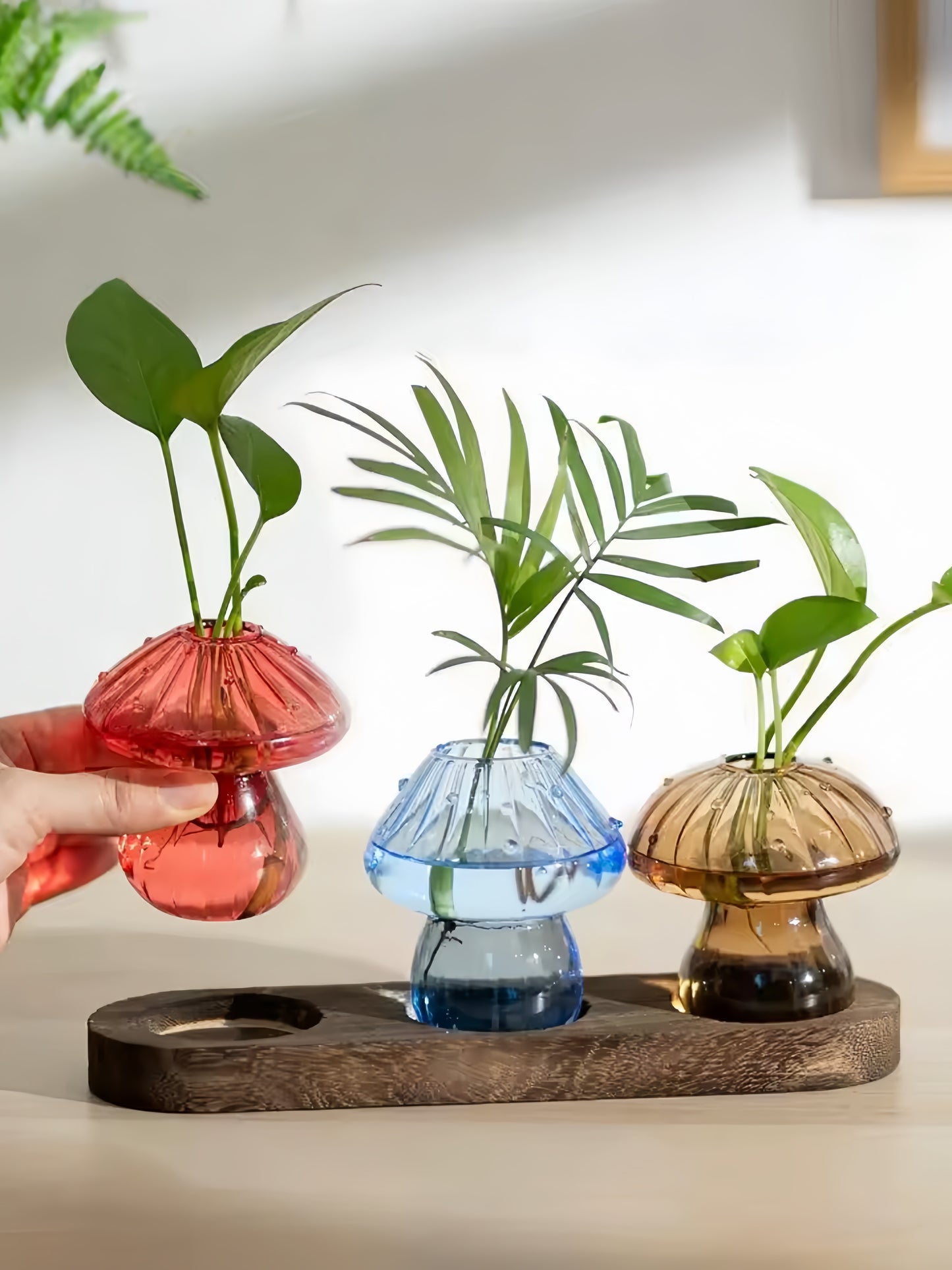 Mushroom Propagation Station š