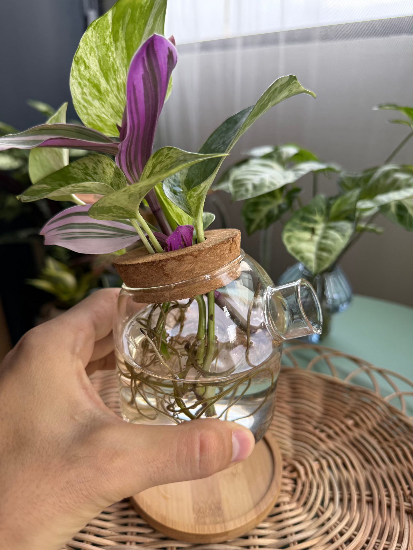 Propagation glass jar with cork lid & bamboo tray