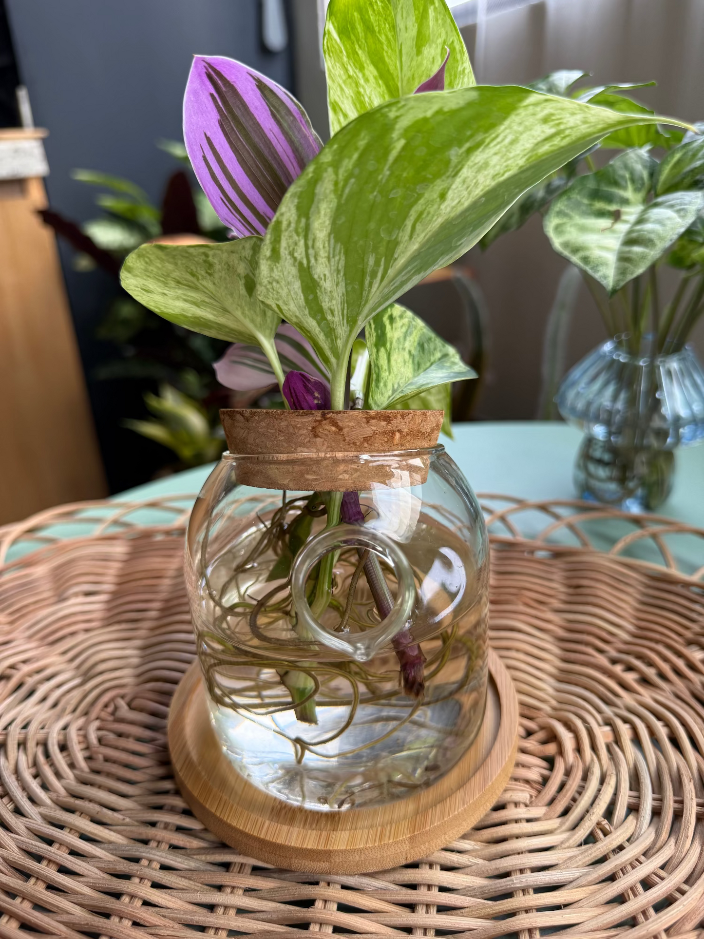 Propagation glass jar with cork lid & bamboo tray