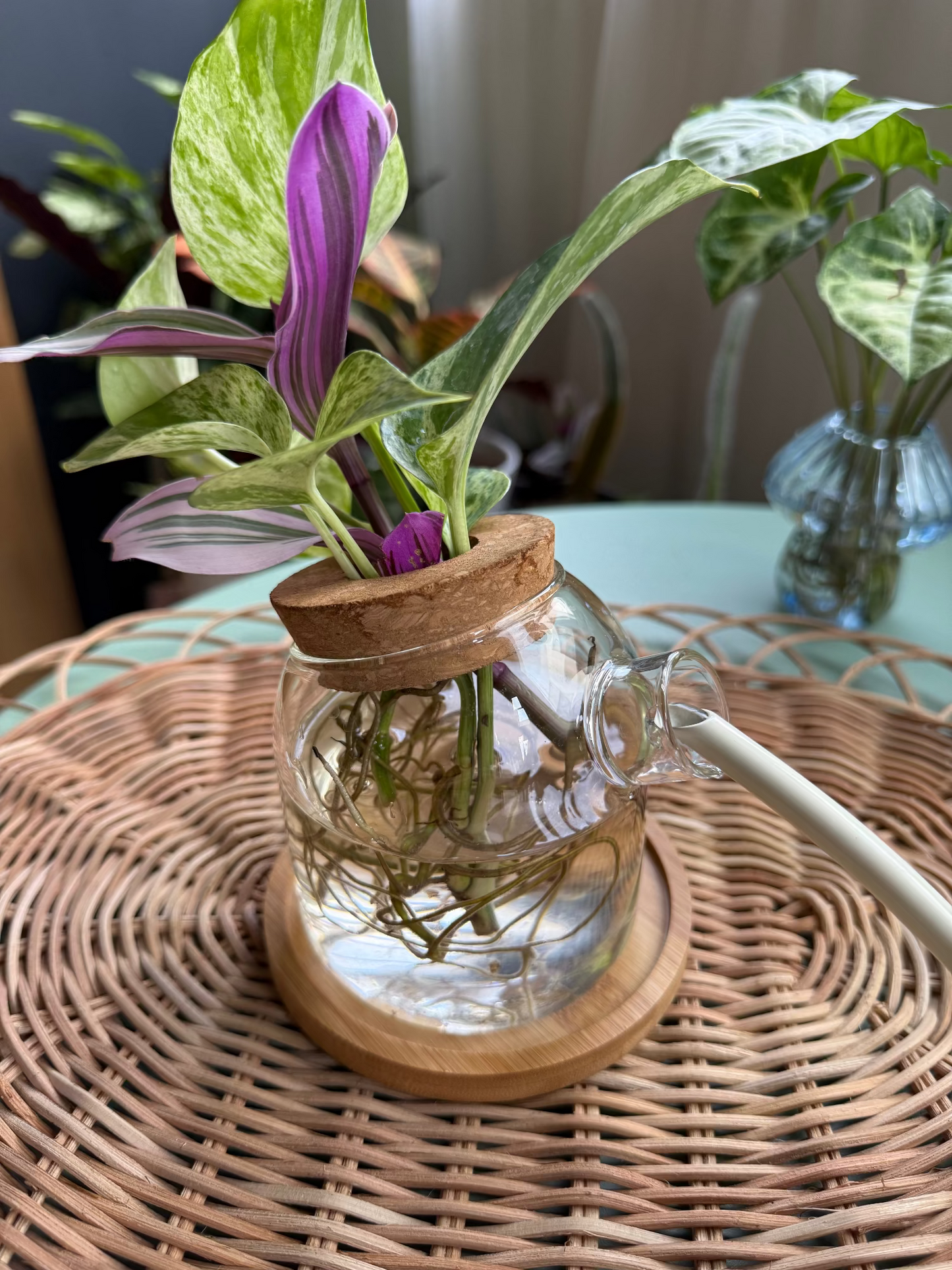 Propagation glass jar with cork lid & bamboo tray