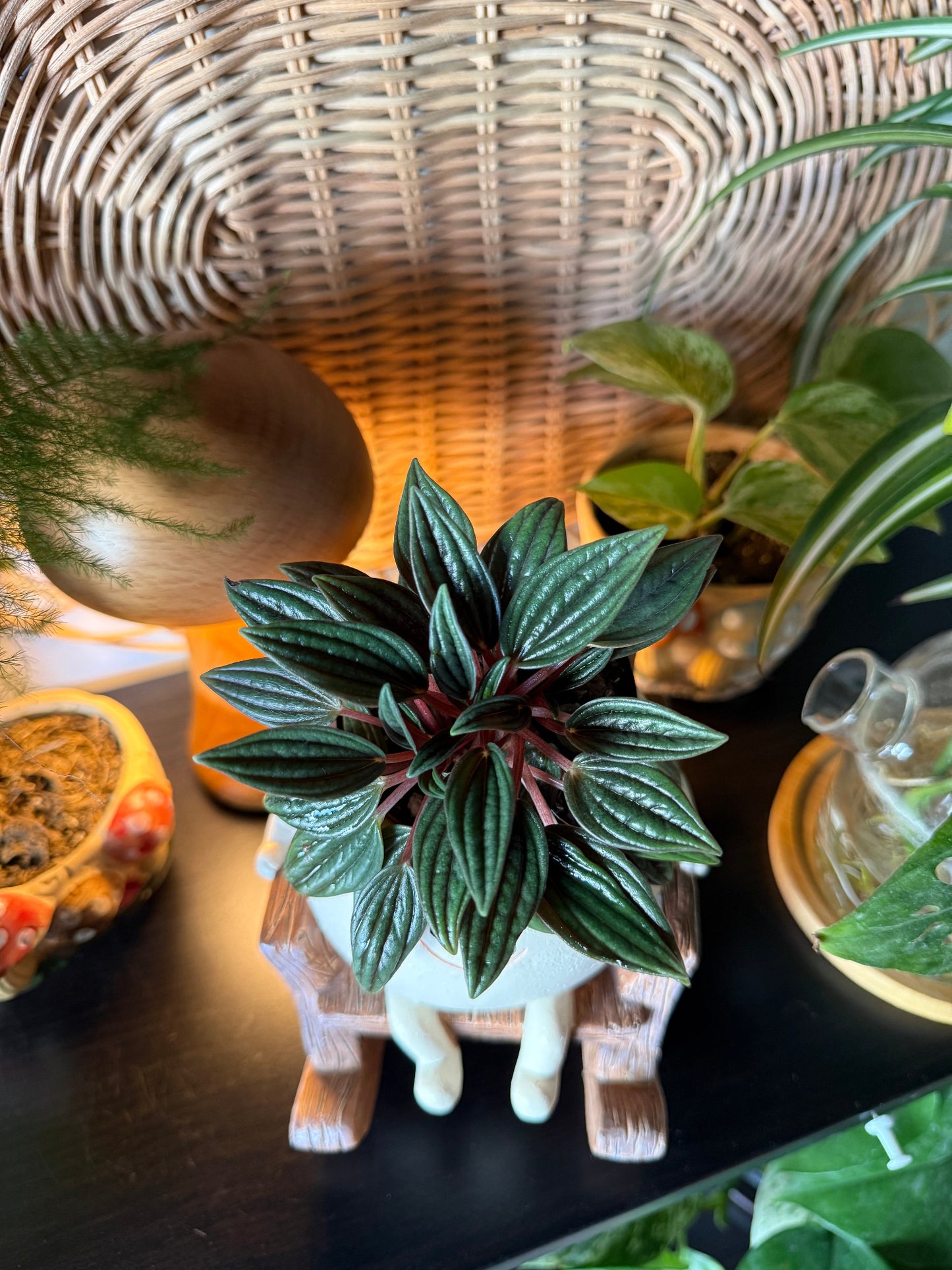 Rocking Chair Smiling Pot