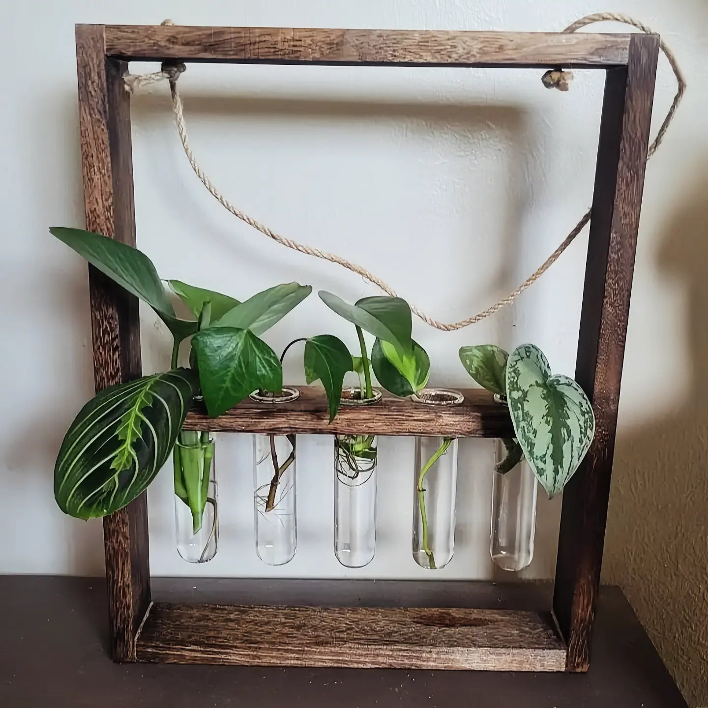 wooden frame for hanging plants Wall Hanging Propagation Station – Happyplanthome