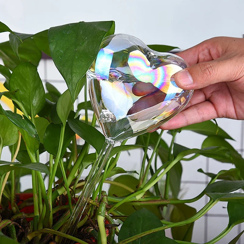 Rainbow Tint Self-Watering Feeders