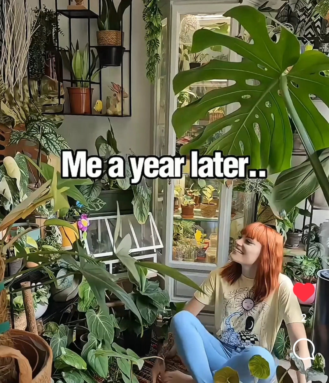 A Complete Guide to Starting a House Plant Hobby in 2024