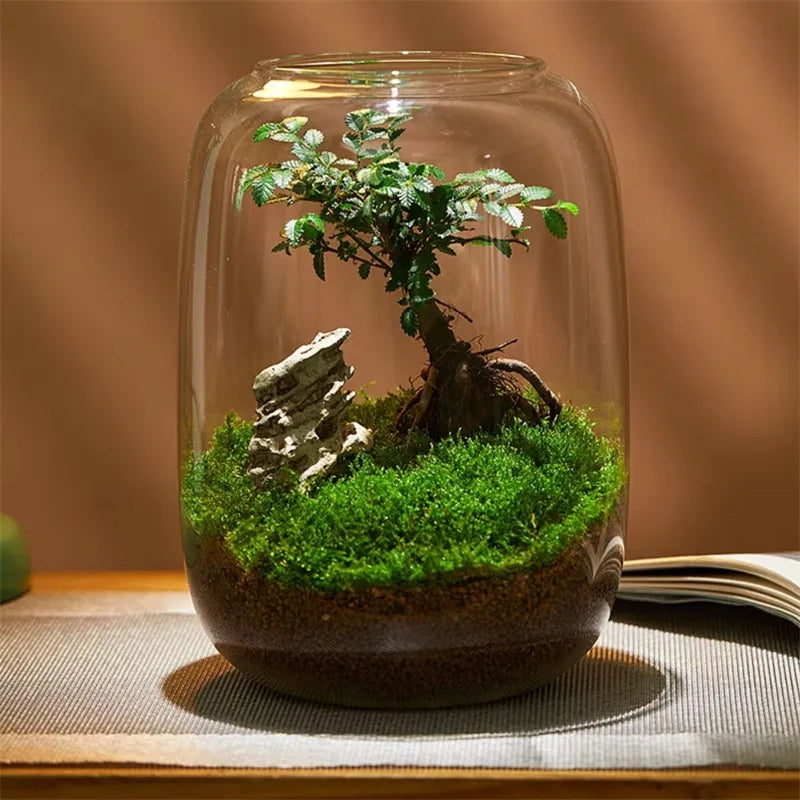 Glass Terrarium