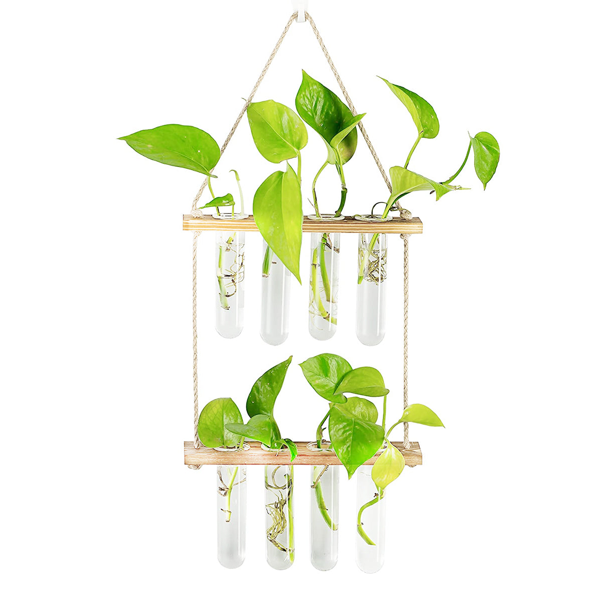 Wall Hanging Propagation Station + free LED Lights 🎁