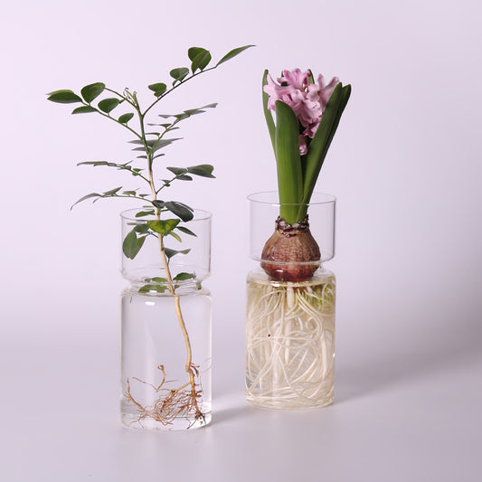 Glass Propagation Vase