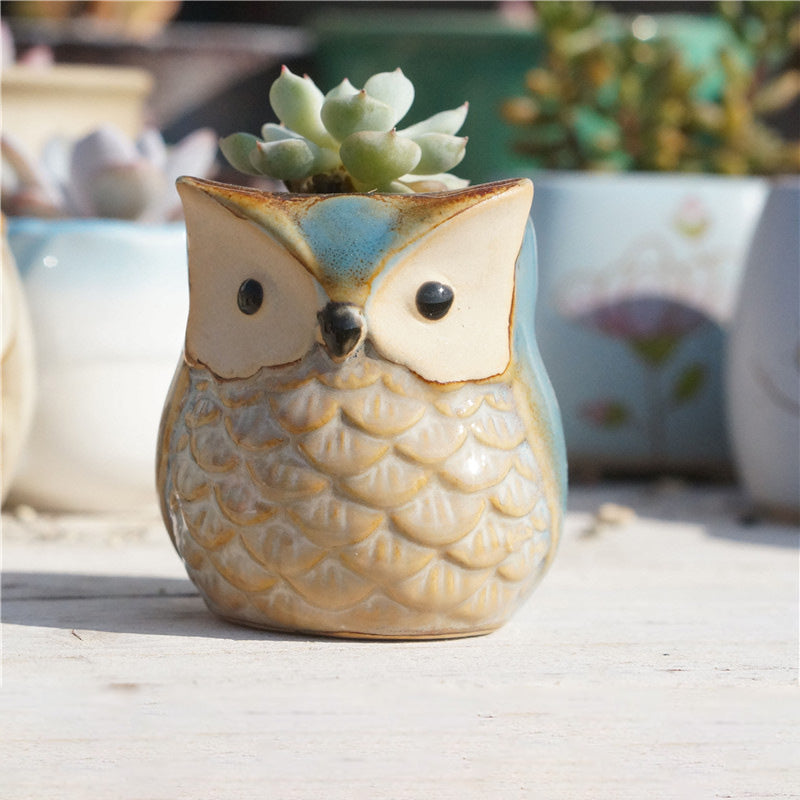 Owl Ceramic Succulent Mini Planter