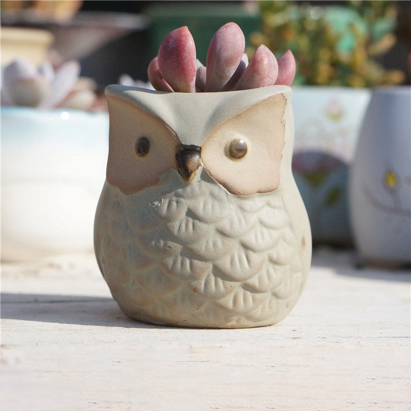 Owl Ceramic Succulent Mini Planter