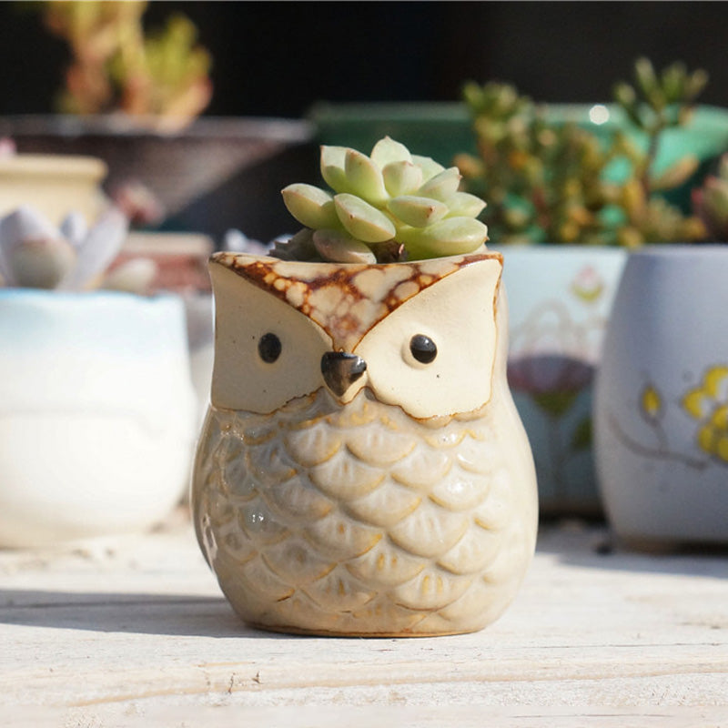 Owl Ceramic Succulent Mini Planter