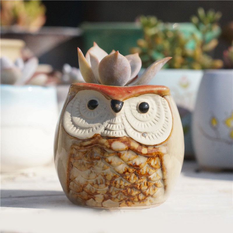 Owl Ceramic Succulent Mini Planter