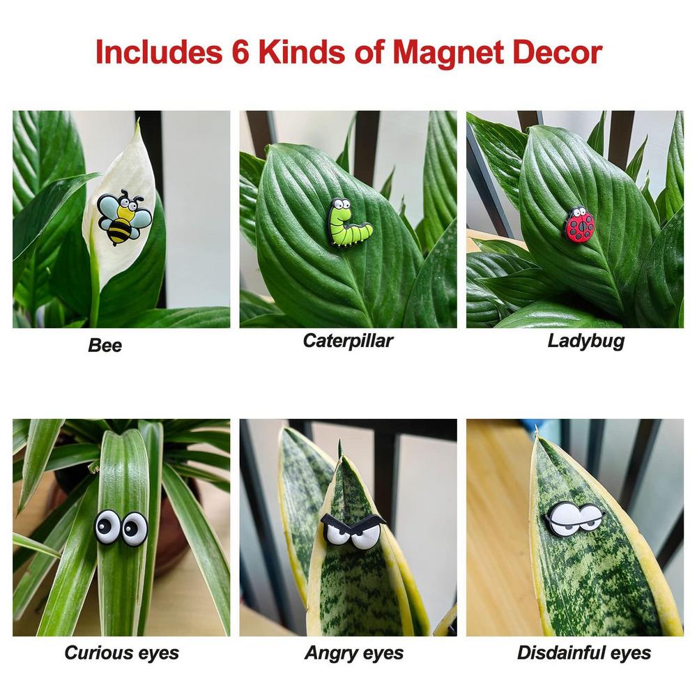 Plant Leaf Magnets (set of 6)