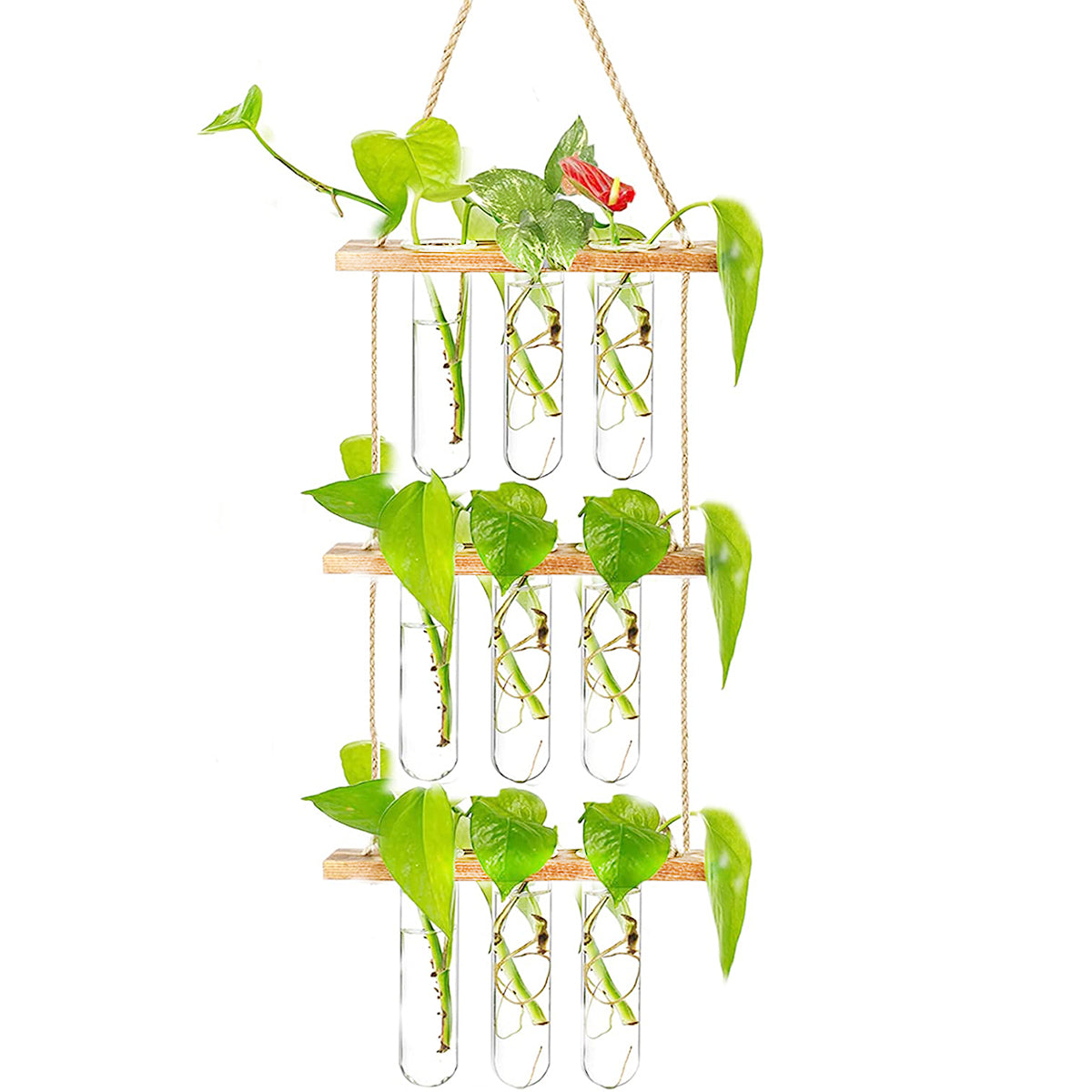 Wall Hanging Propagation Station + free LED Lights 🎁