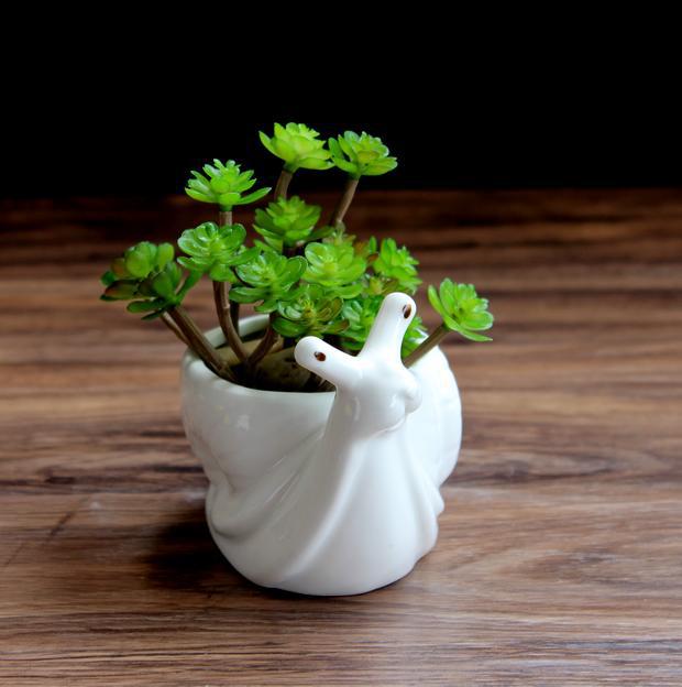 Snail Succulent Planter