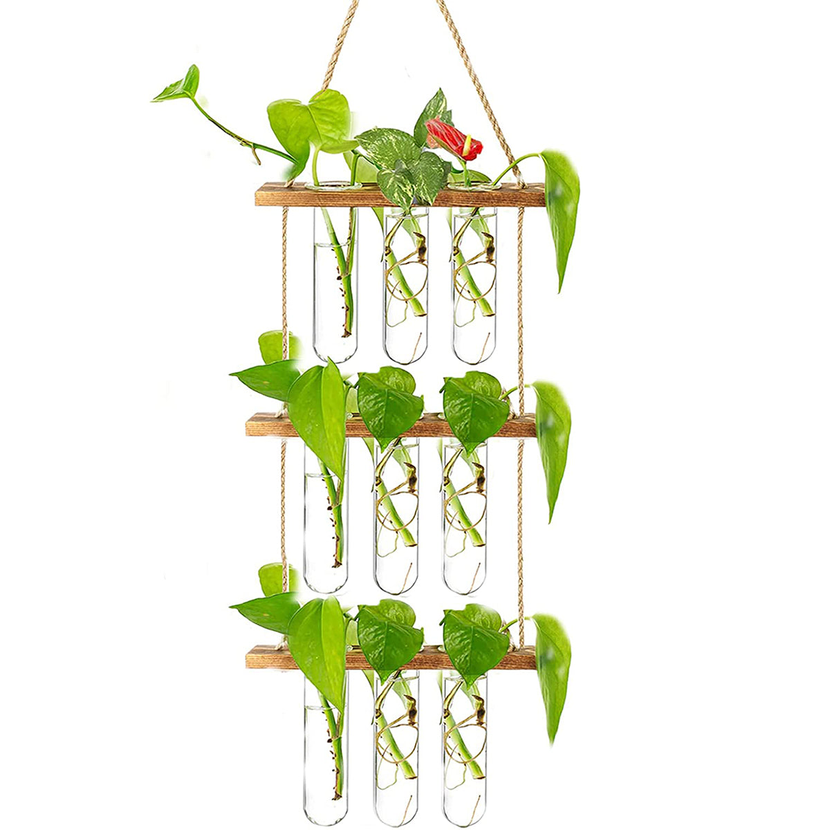 Wall Hanging Propagation Station + free LED Lights 🎁