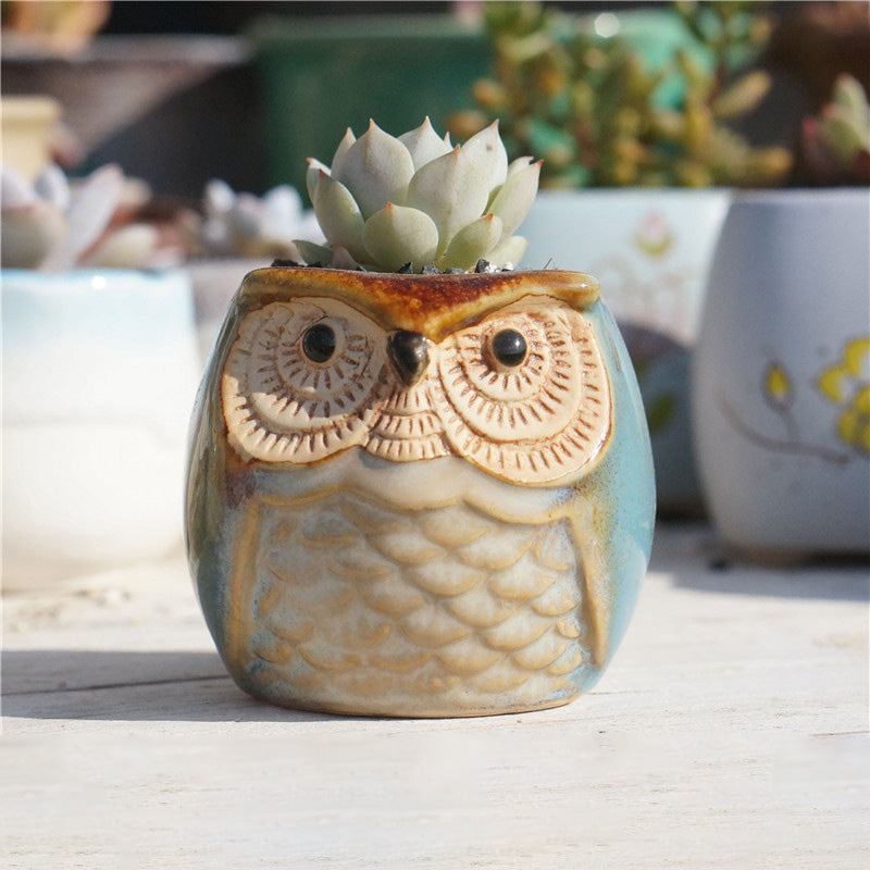 Owl Ceramic Succulent Mini Planter