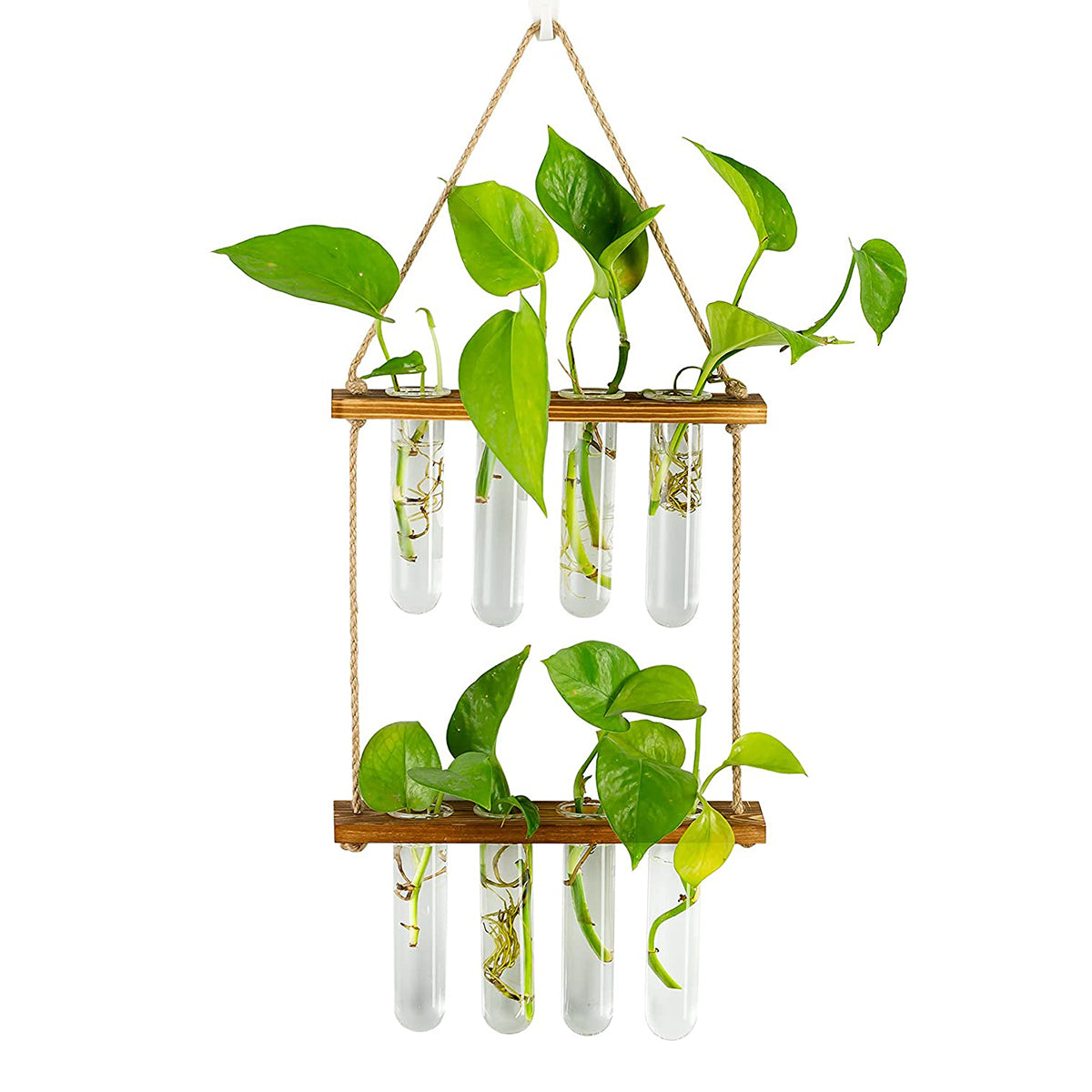 Wall Hanging Propagation Station + free LED Lights 🎁