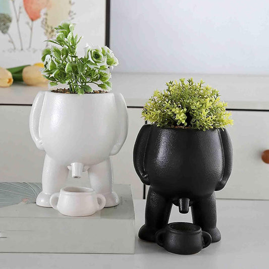 Peeing Boy Succulent Pot