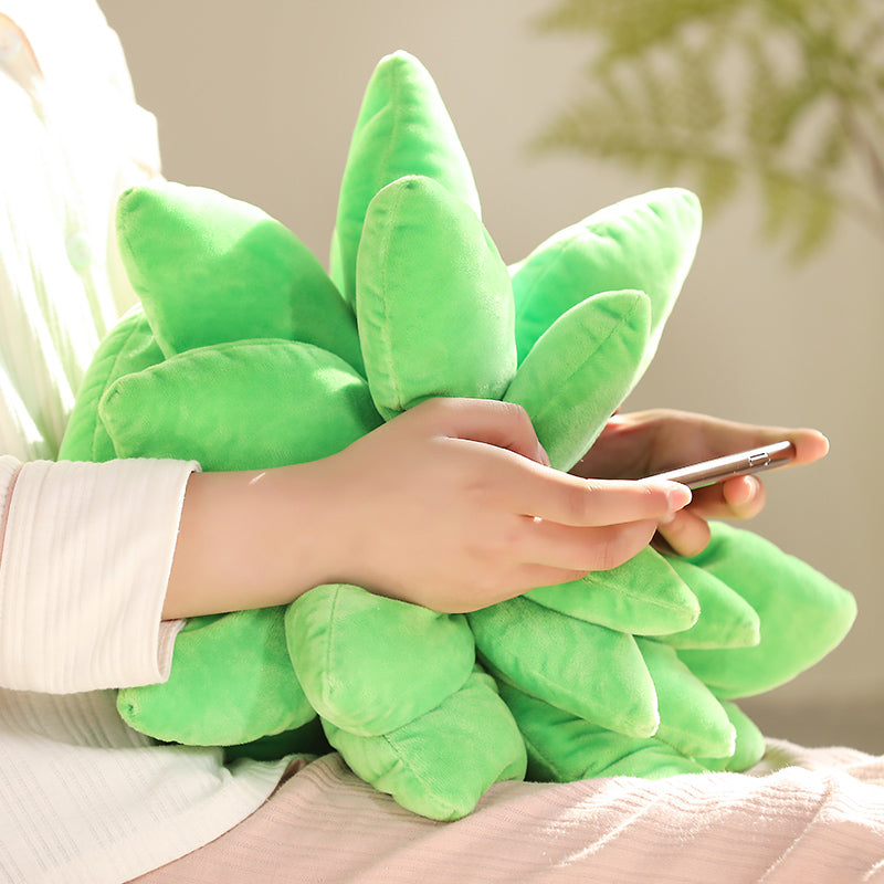 Pop Plush Succulent Cushions