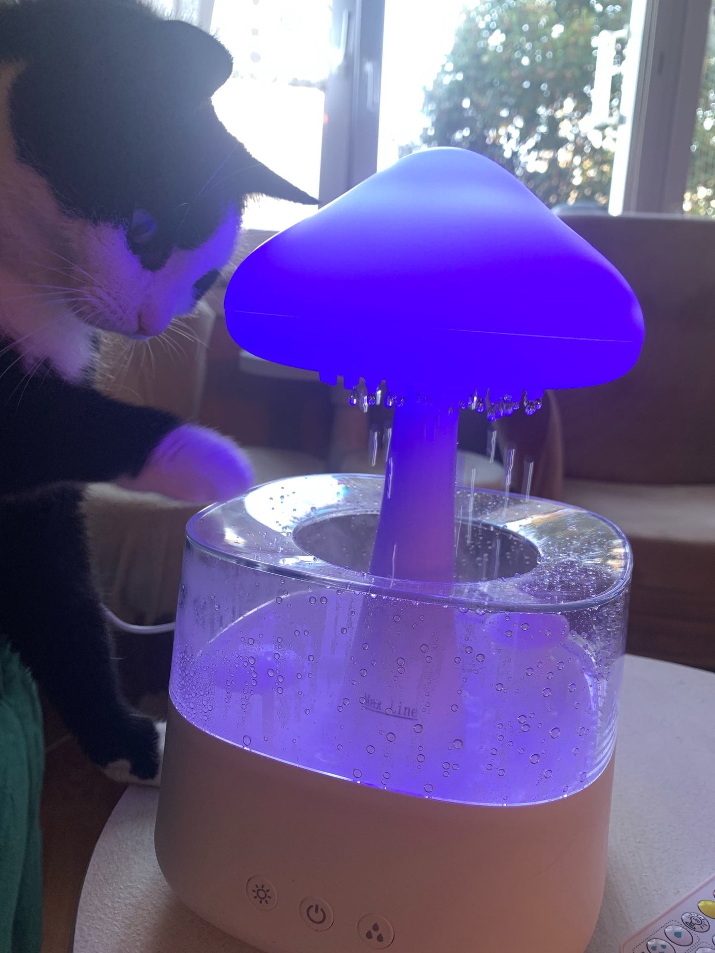 Mushroom Rain Cloud Aroma Diffuser Air Humidifier Night Light With RC