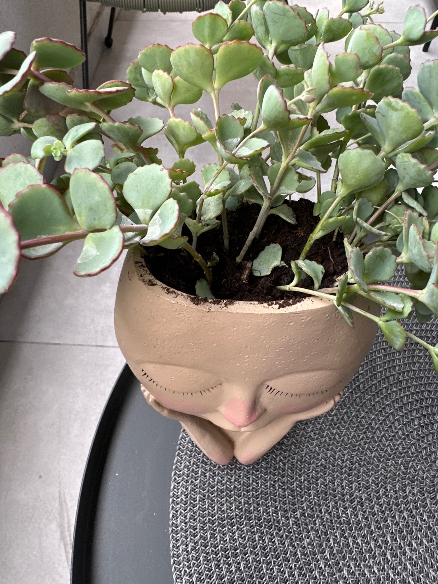 Girl's Face Planter