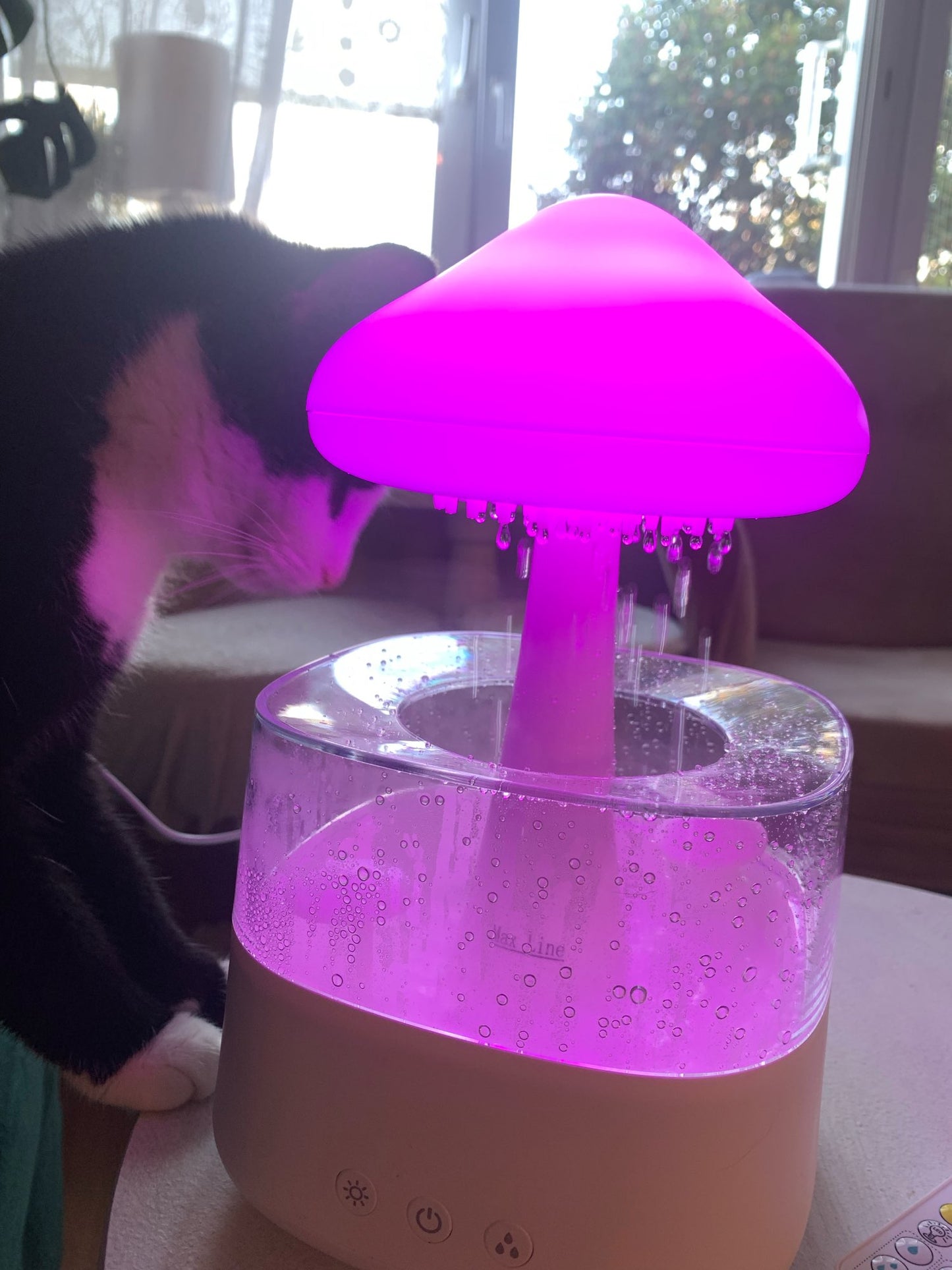 Mushroom Rain Cloud Aroma Diffuser Air Humidifier Night Light With RC