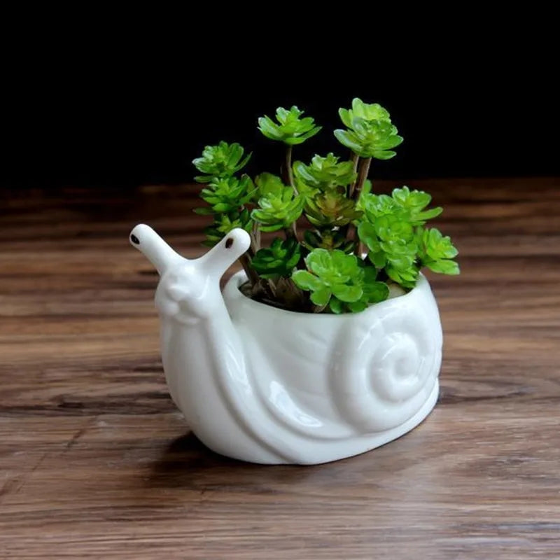 Snail Succulent Planter