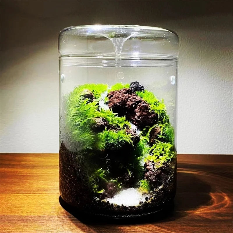 Glass Terrarium