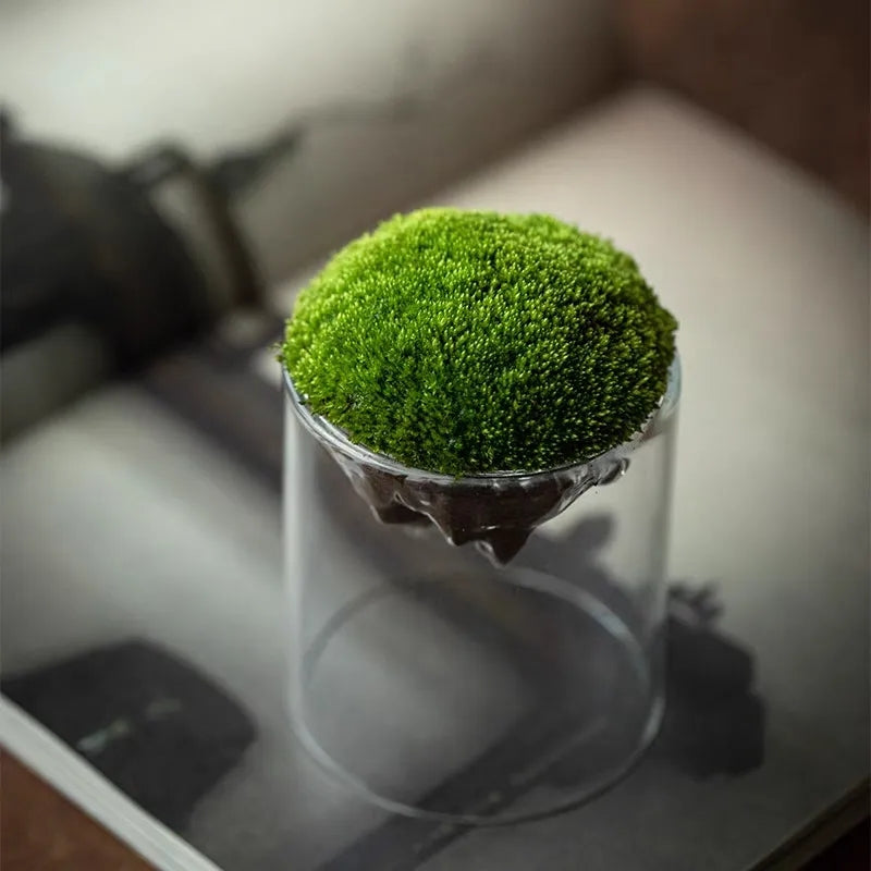 Mountain Shaped Moss Glass Vase