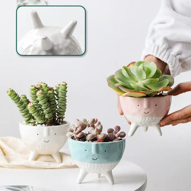 Aesthetic Nordic Succulent Planter