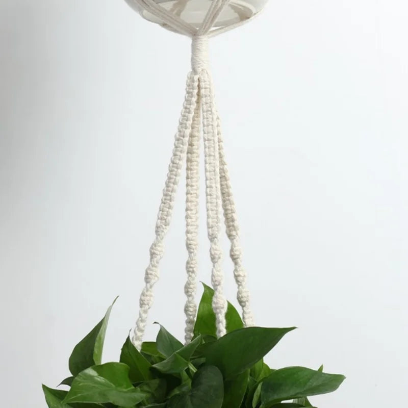 Macrame Plant Hangers (set of 4)