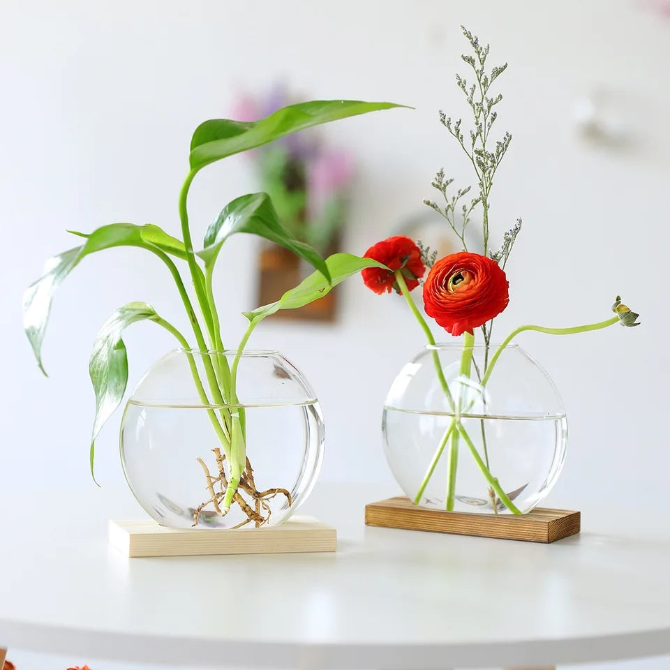 Propagation Vase With Wooden Stand