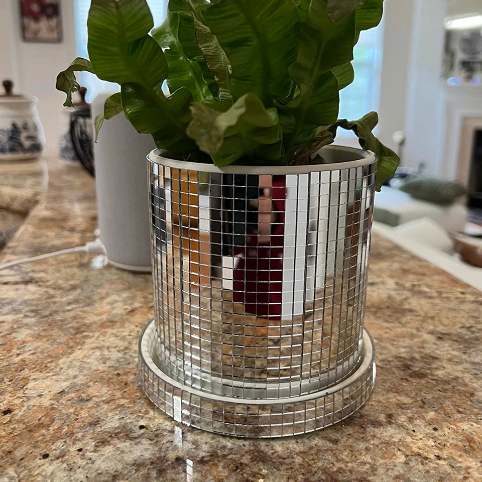 Disco planter