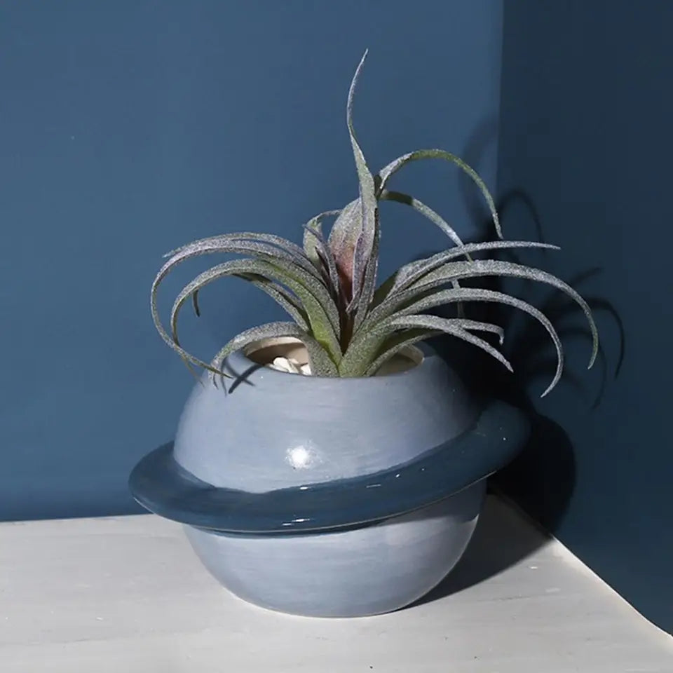 Planet Succulent Ceramic Planter