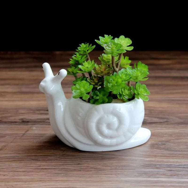 Snail Succulent Planter